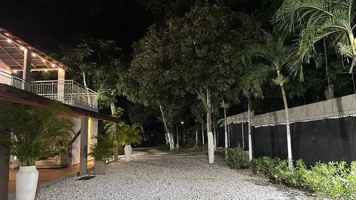 Entrada vehicular arborizada, de noche
